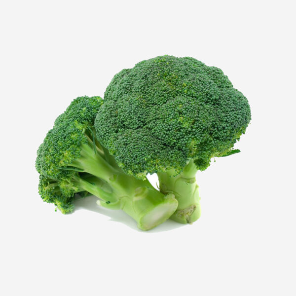 Broccoli JA - Image 4
