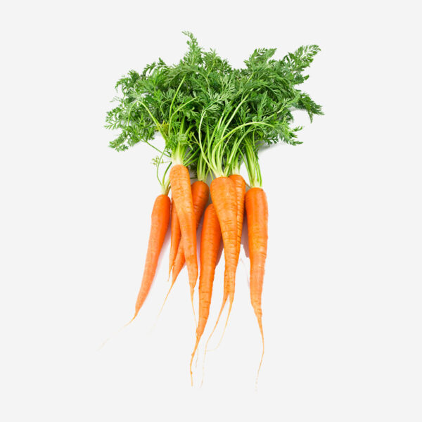 Garden Carrots - Image 3