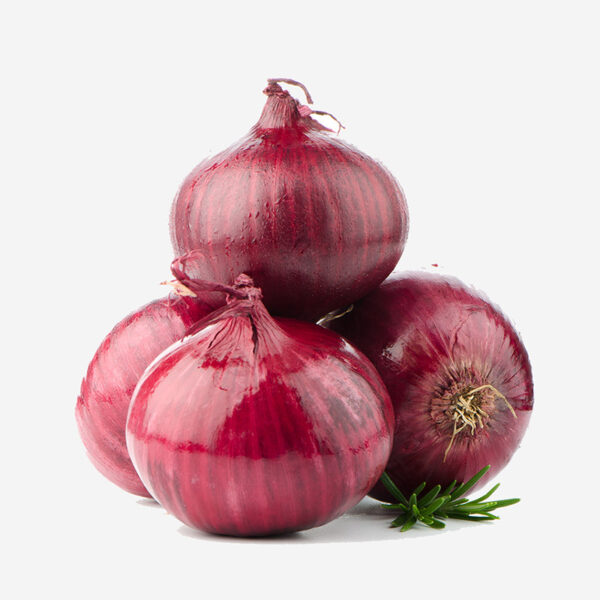 Onion