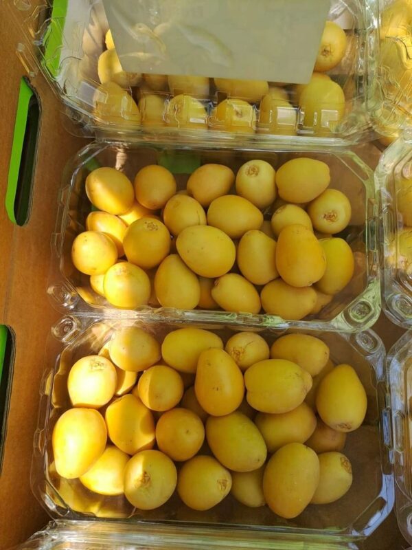 Dates “Barhi” - Image 4