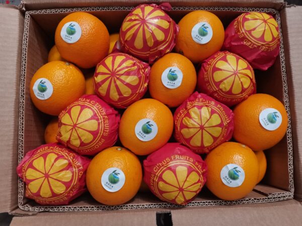 Orange  (Navel, Valencia) - Image 4