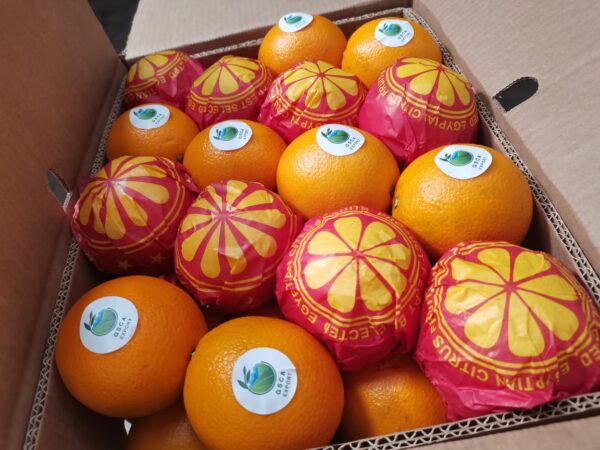 Orange  (Navel, Valencia) - Image 3