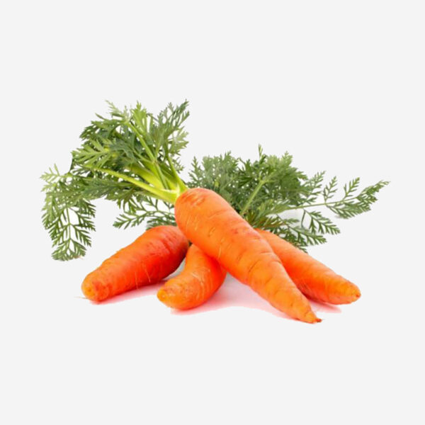 Garden Carrots