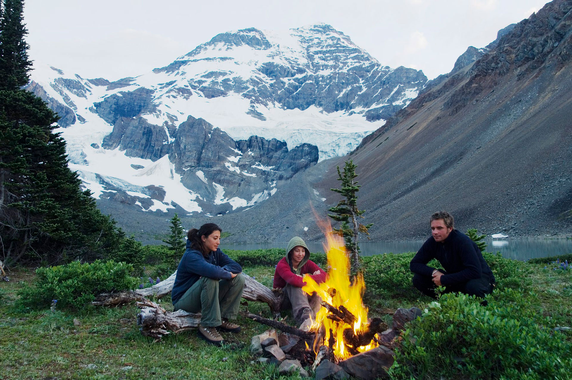 stock-photo-186881981