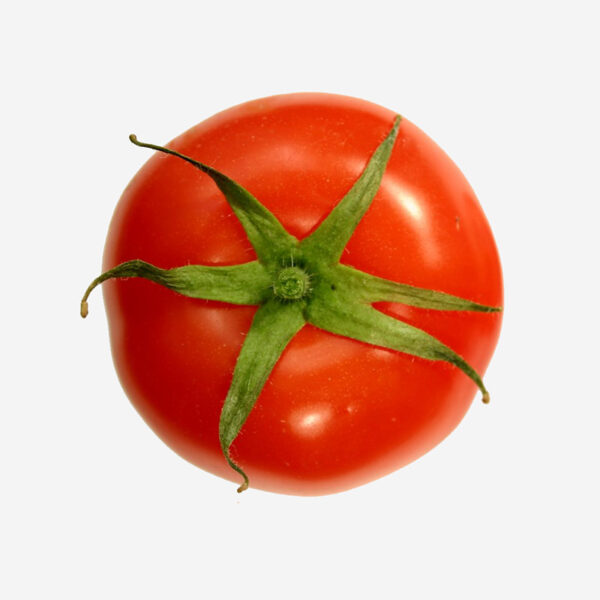 White Seedless - Image 3
